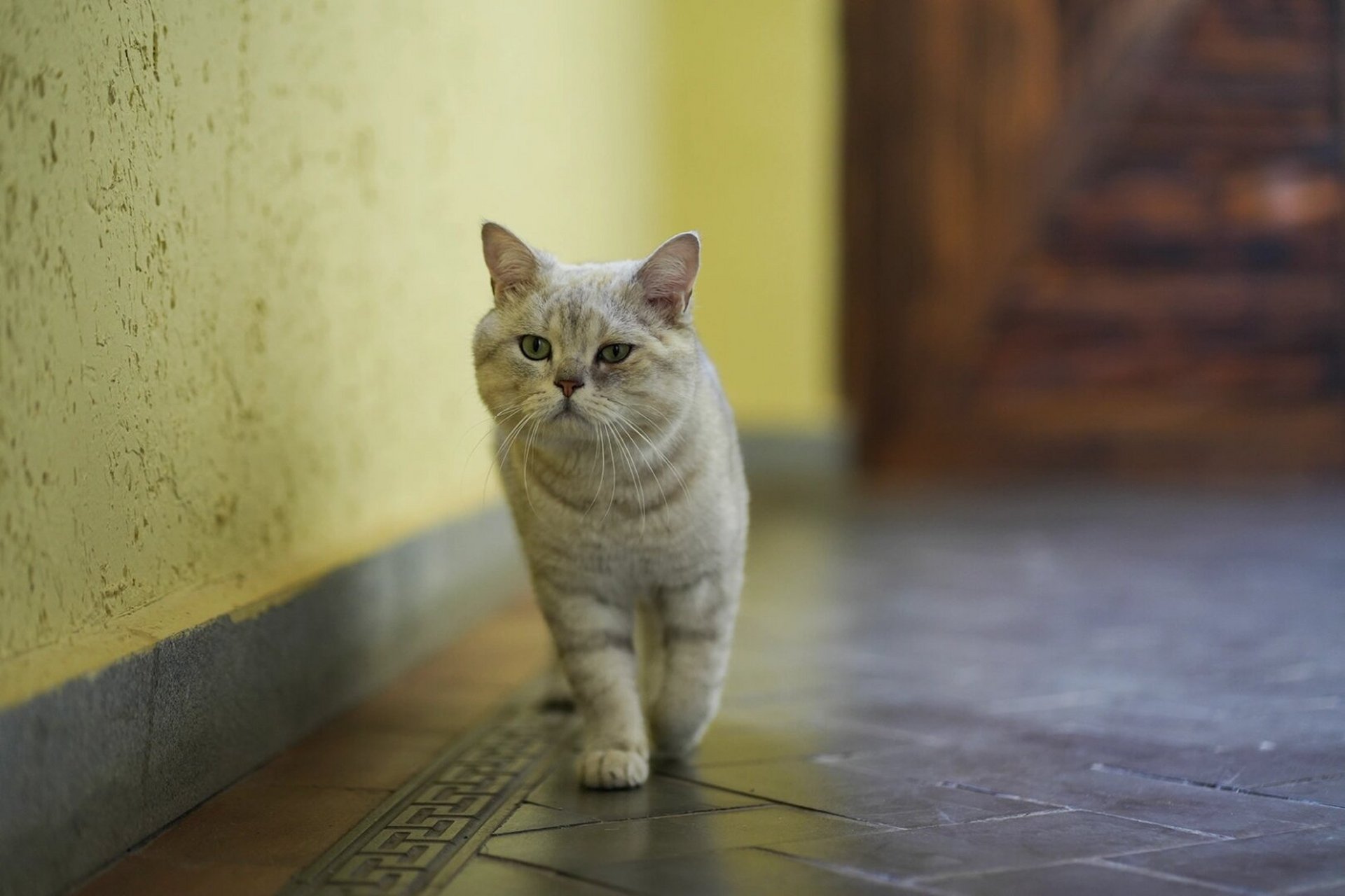 老故事客栈# #小红书运营# #康养旅居# #丽江网红民宿