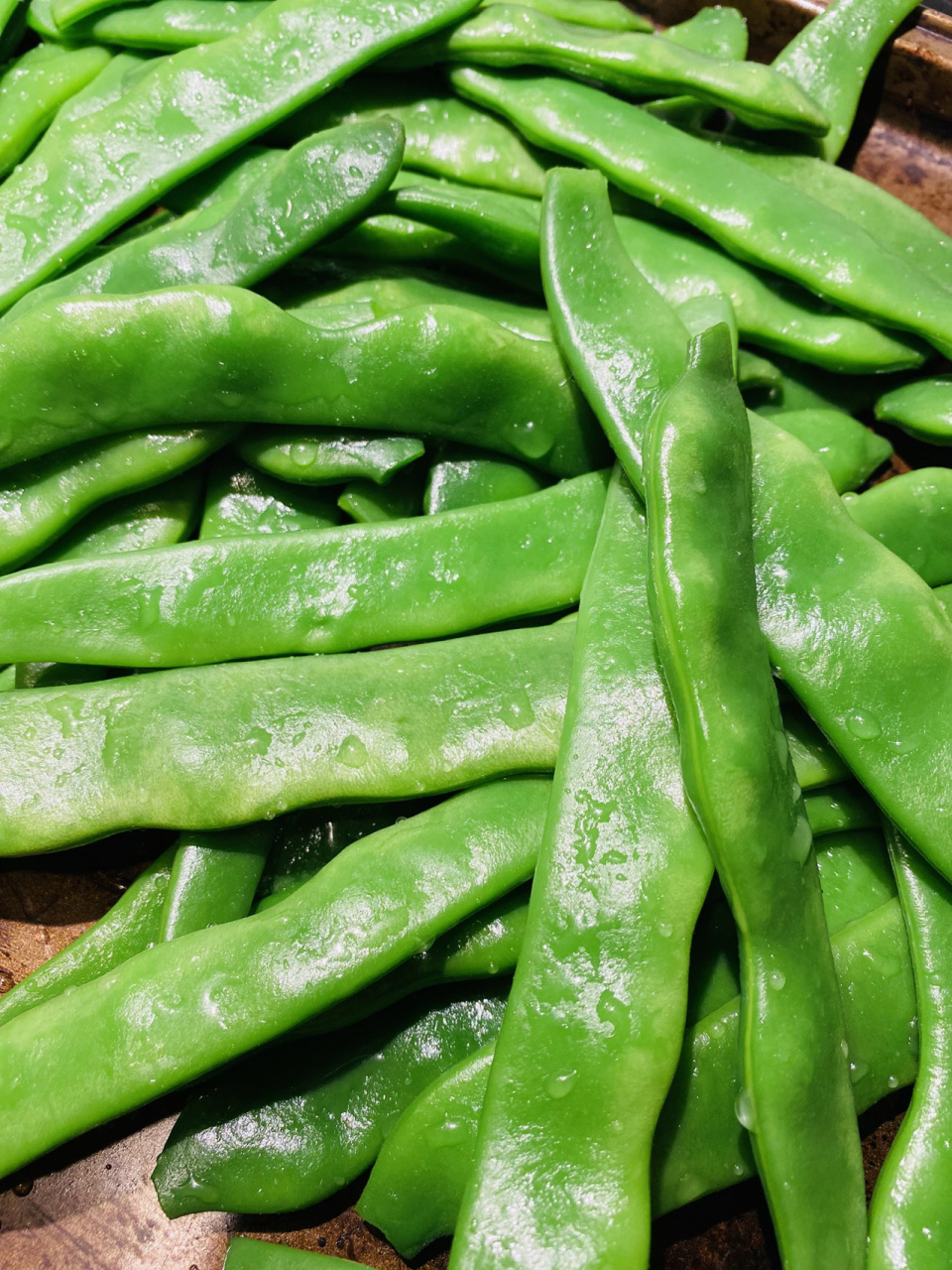 东北油豆角保存法 看着不起眼的,但是没想到还是摘了不少啊!