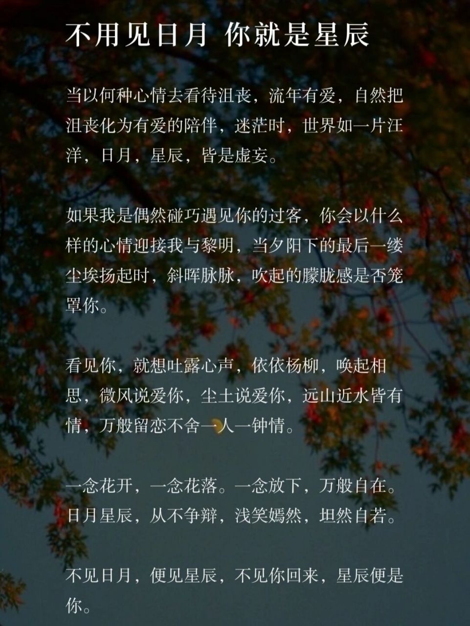 原创随笔# #散文随笔# #原创散文# #文字控# #随笔# #美文# #每日