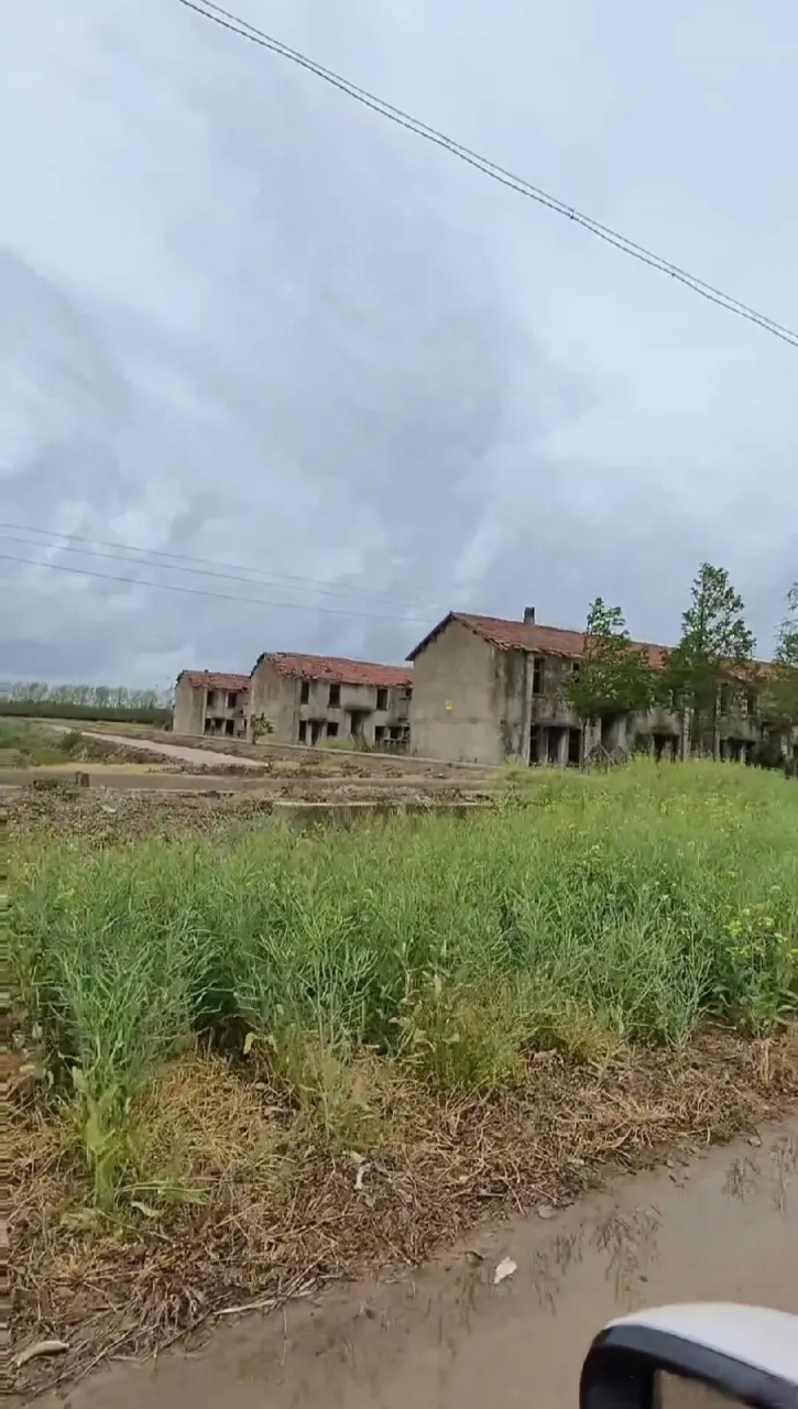 盐城爆料# 盐城大丰海丰农场的荒宅群,是上海知青们曾经生活的捣浇