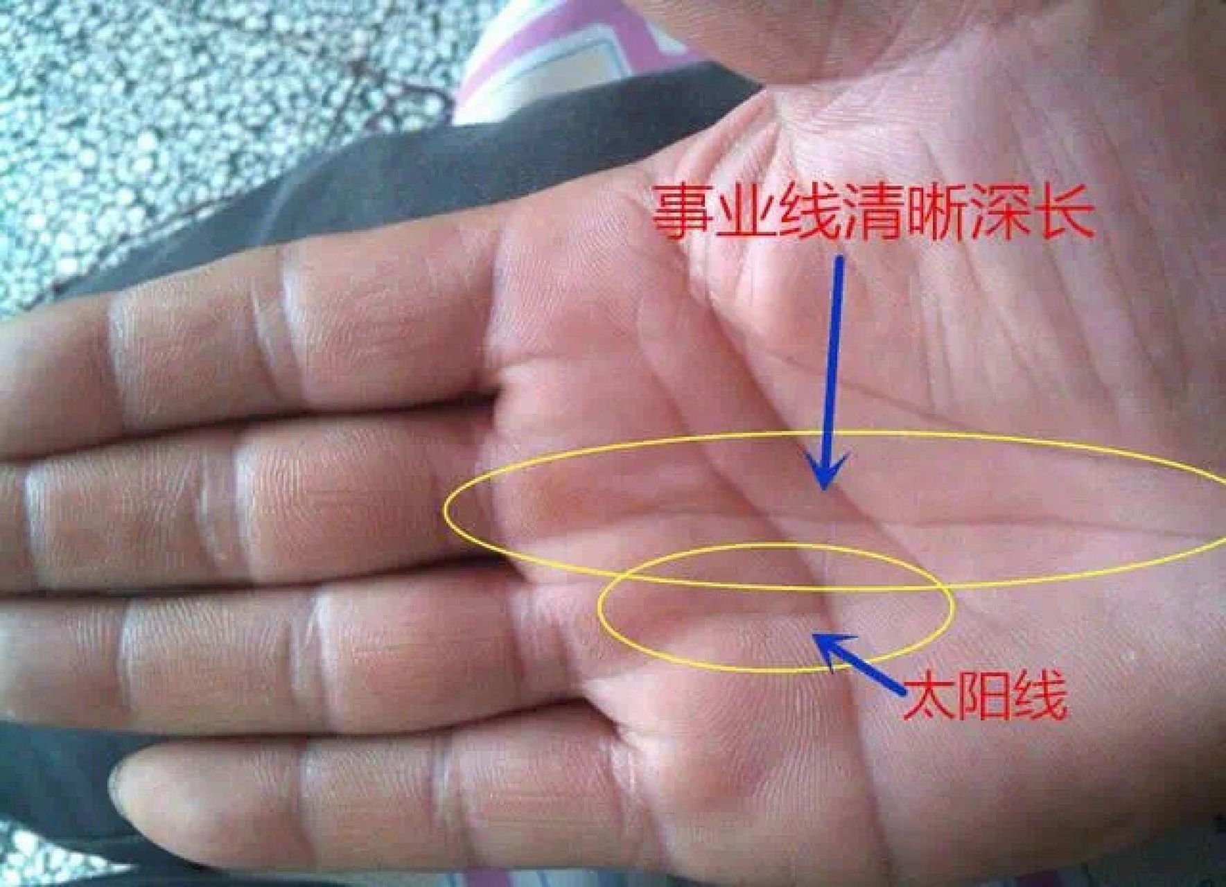 事业线事业线是在手掌中央,从手的底部往上 事业线事业线是在手掌中央
