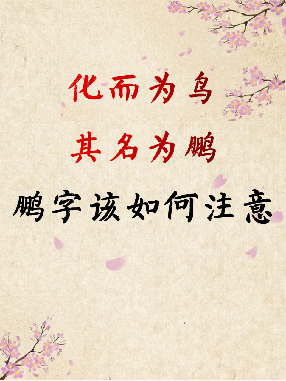 宝宝起名 鹏字如何注意起名 宝宝起名 "化而为鸟,其名为鹏.