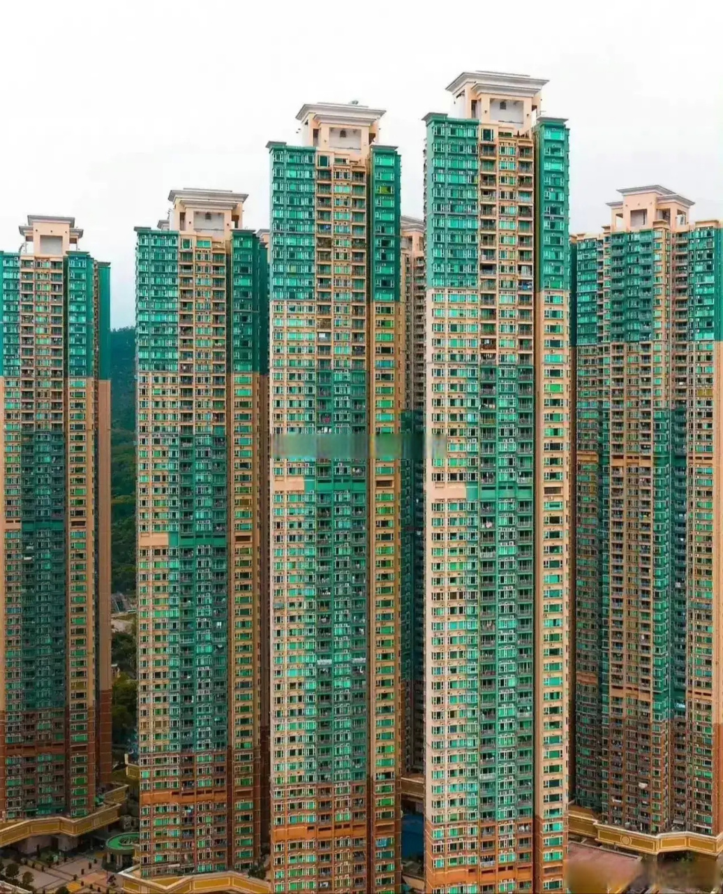 这个小区的容积率,简直不敢想象了. 取名为鸽子楼,关键入住率还挺高