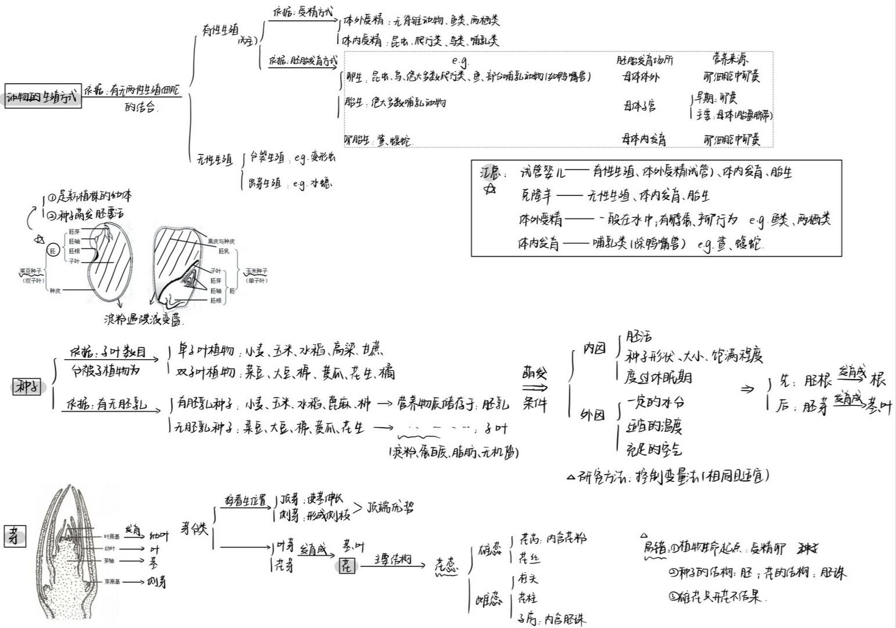 七下|第一章《代代相传的生命》思维导图