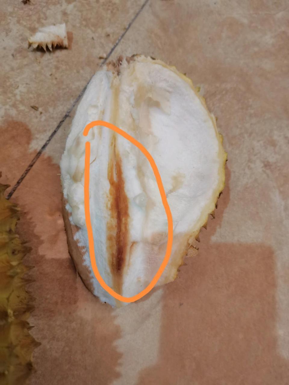 榴莲中间发黑这种是变质吗 每次买都是白色的