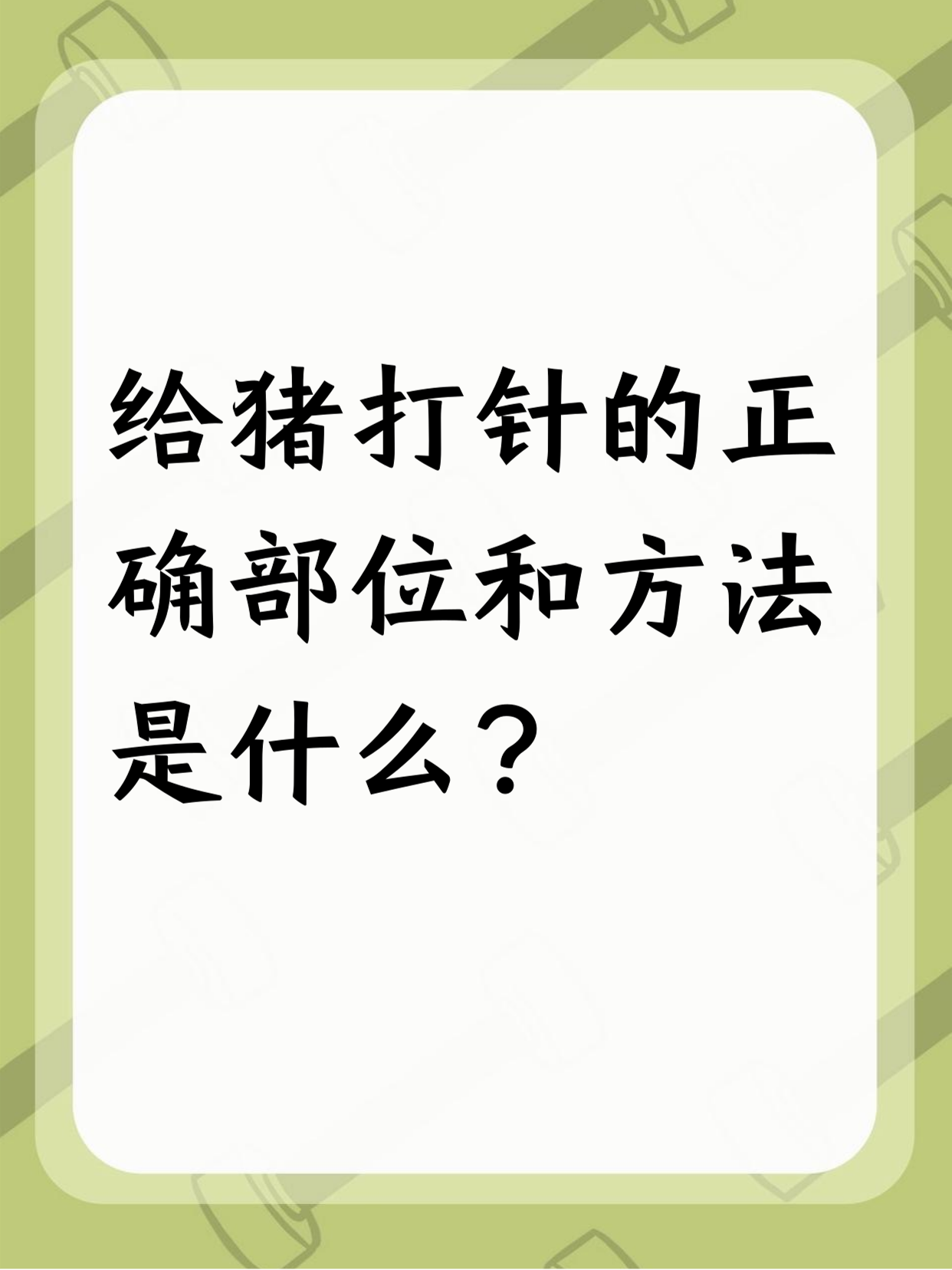 给猪打针的正确部位和方法是什么?