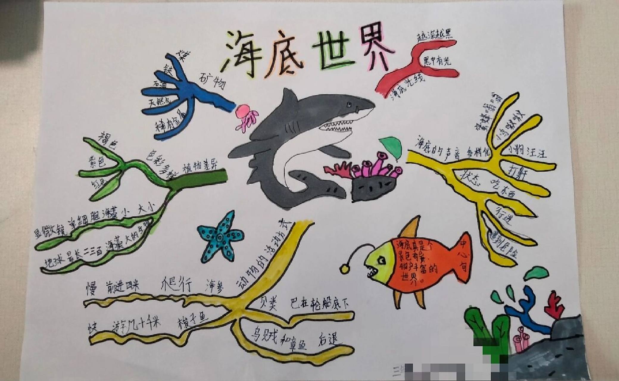 三年级语文下册《海底世界》思维导图 三年级语文下册《海底世界》