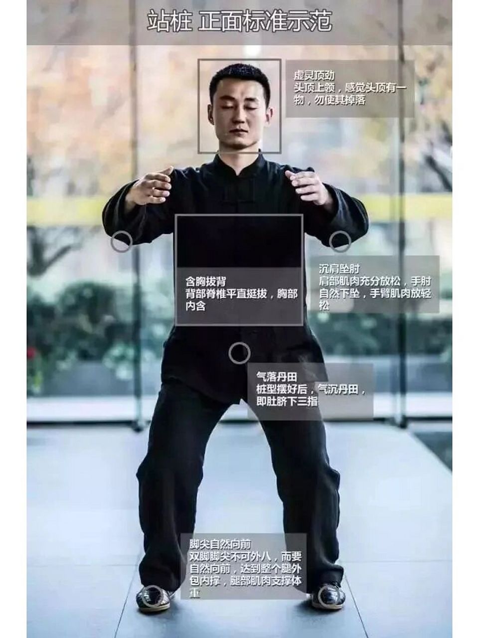浑圆桩 标准示范图 (收藏版) 站桩百病疗,生活更美好.