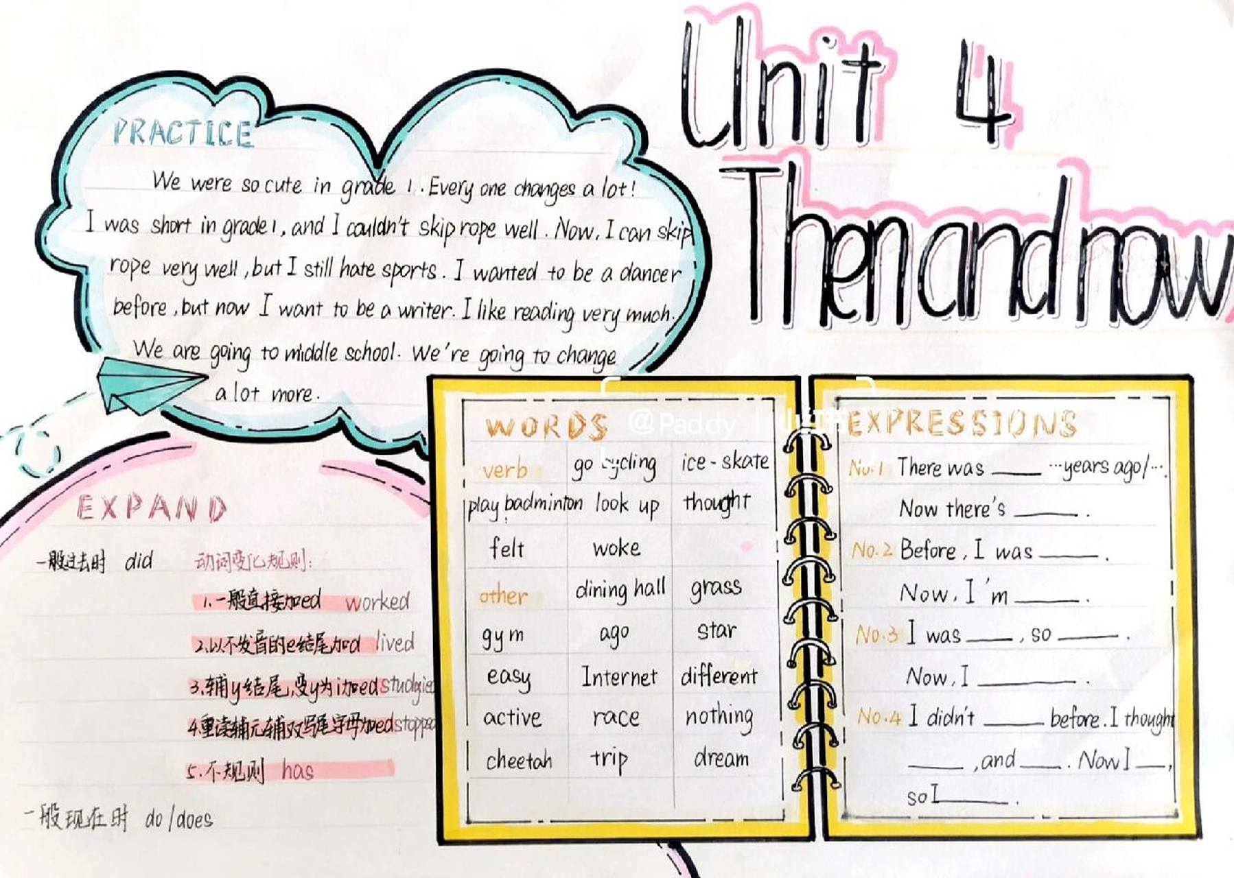 pep 六下 unit 4 英语思维导图