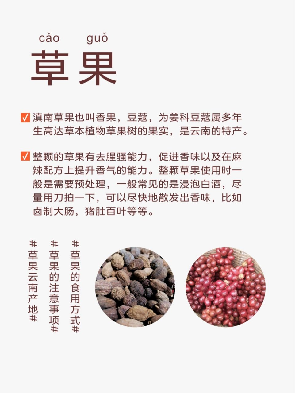 草果香料的作用和图片图片