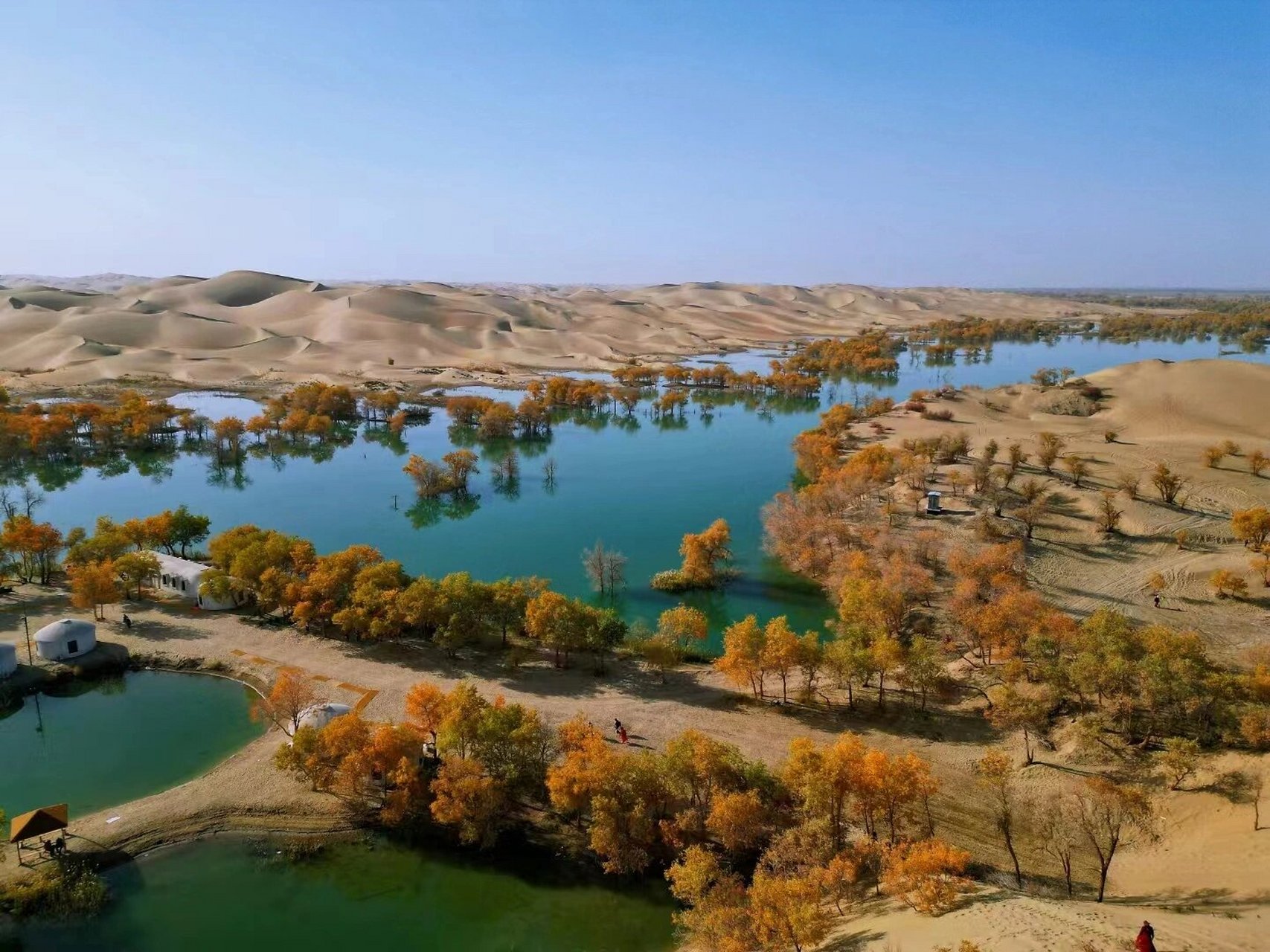 绝美葫芦岛 尉犁葫芦岛的胡杨林太美了.