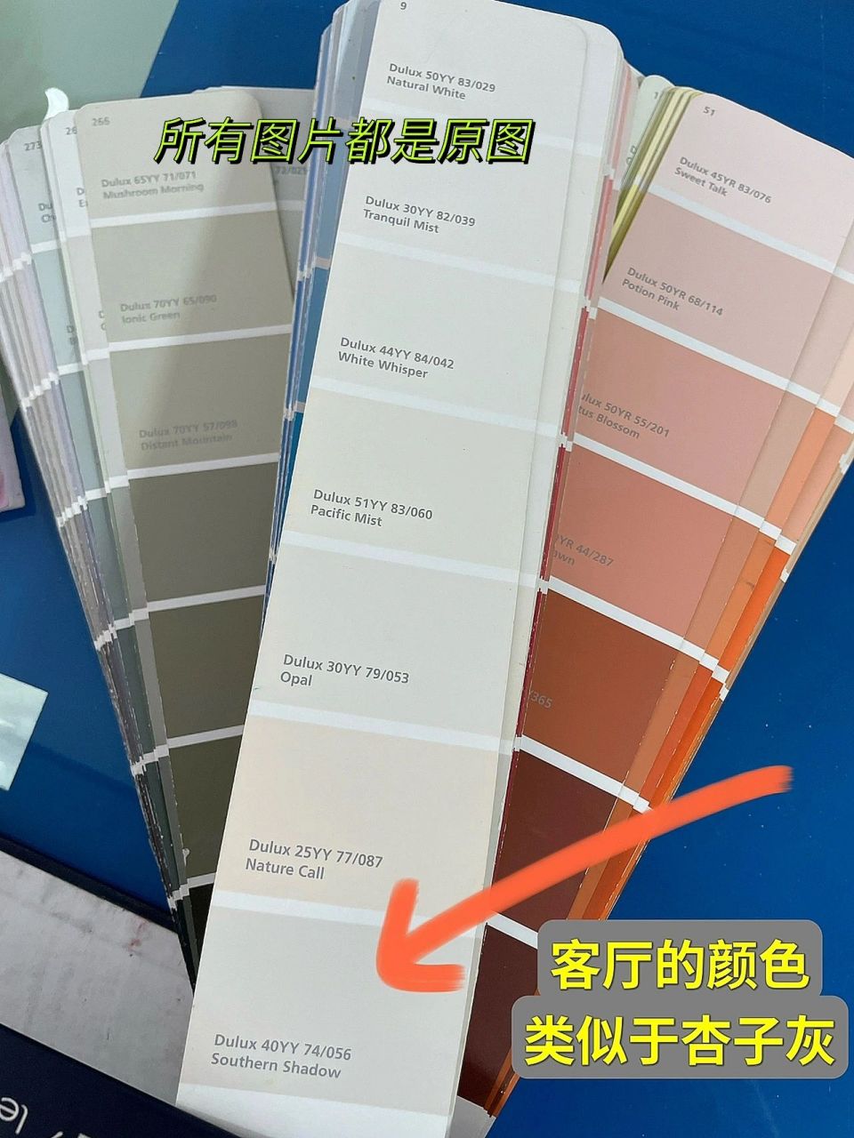 乳胶漆选漆 多乐士 杏子灰 昨天花了两个小时在小红书研究了乳胶漆,第