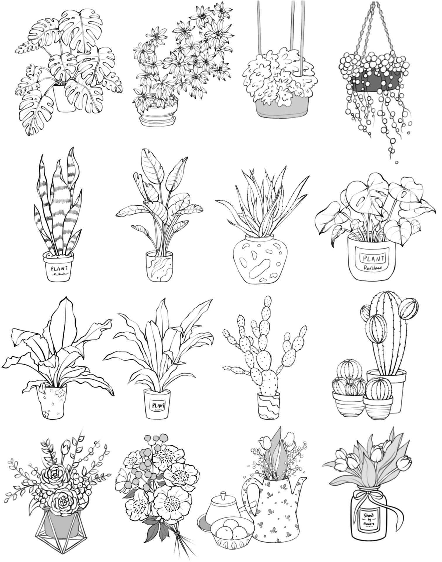 速写合集 |植物写生