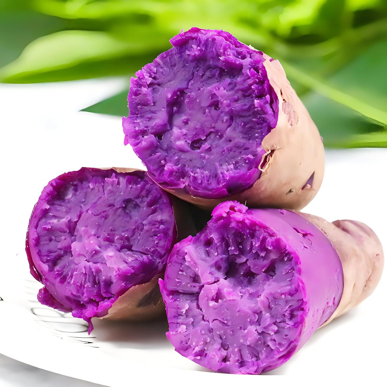 学名:紫薯的学名是04ipomoea batatas.