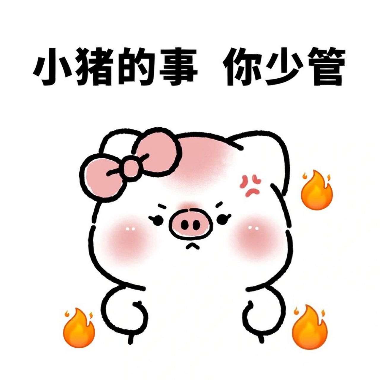 表情| 少管我! 猪猪也是有脾气的,哼!