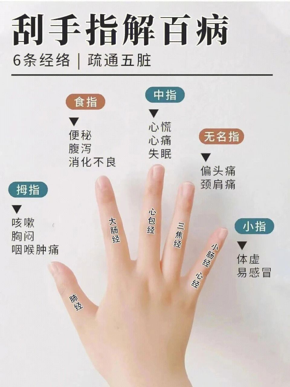 【花雨养生】手指穴位解析 刮手指解百病 五指,六条经络,疏通五脏 1