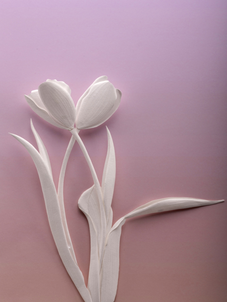 原创立体纸雕艺术作品!尽情赏析 #手工