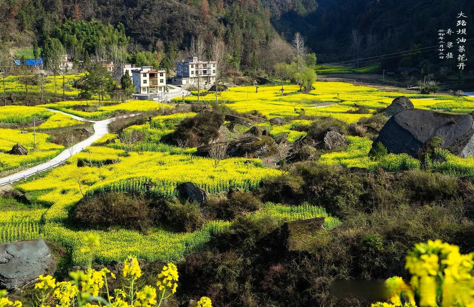 湖北恩施咸丰县大路坝,拥有武陵山区最大的油菜花海.