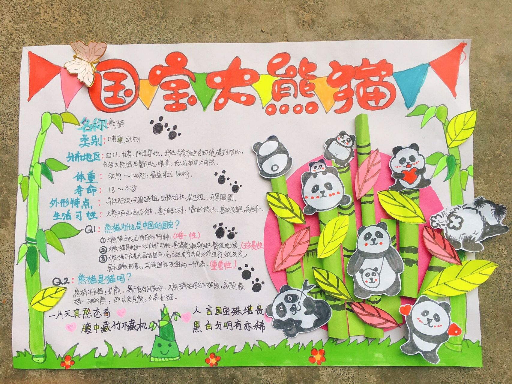 简单的动物名片熊猫图片