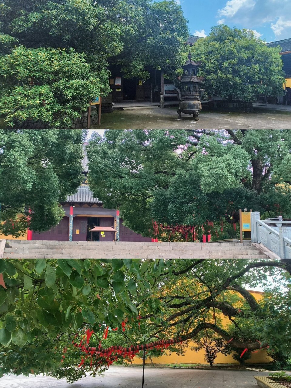国庆去了人少安静的浙江绍兴平水平阳寺 很适合infp,古寺,古建筑,周围