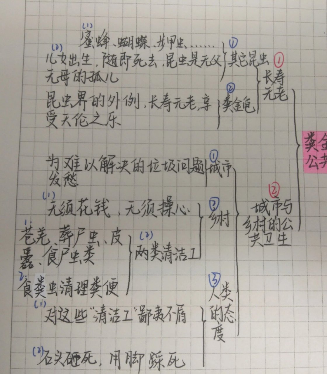 《昆虫记》思维导图 粪金龟和公共卫生 《昆虫记》和《红星照耀中国》