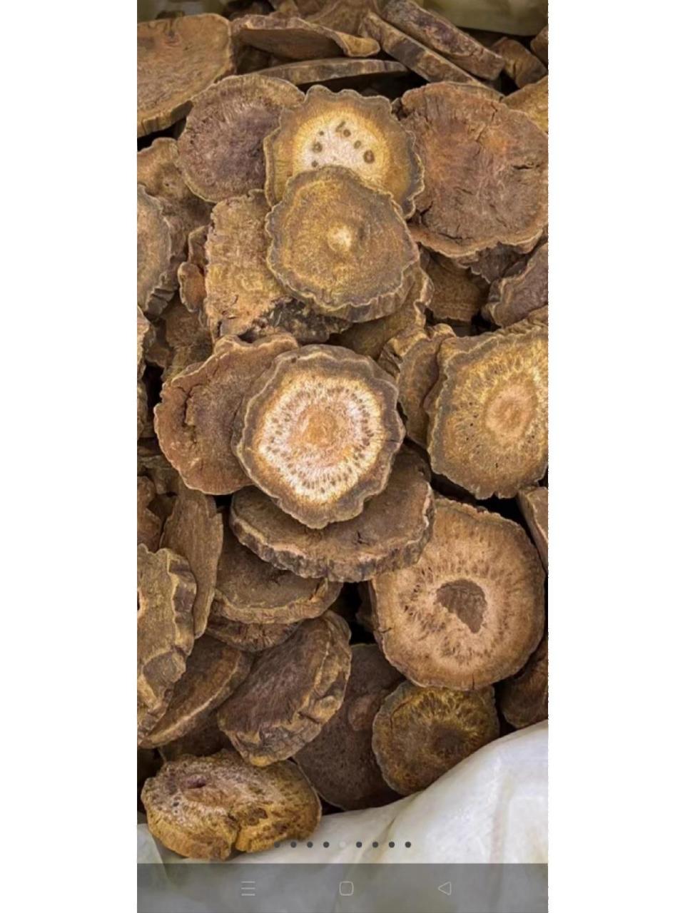 每天认识一味中药材959595大黄 每天认识一味中药材9595