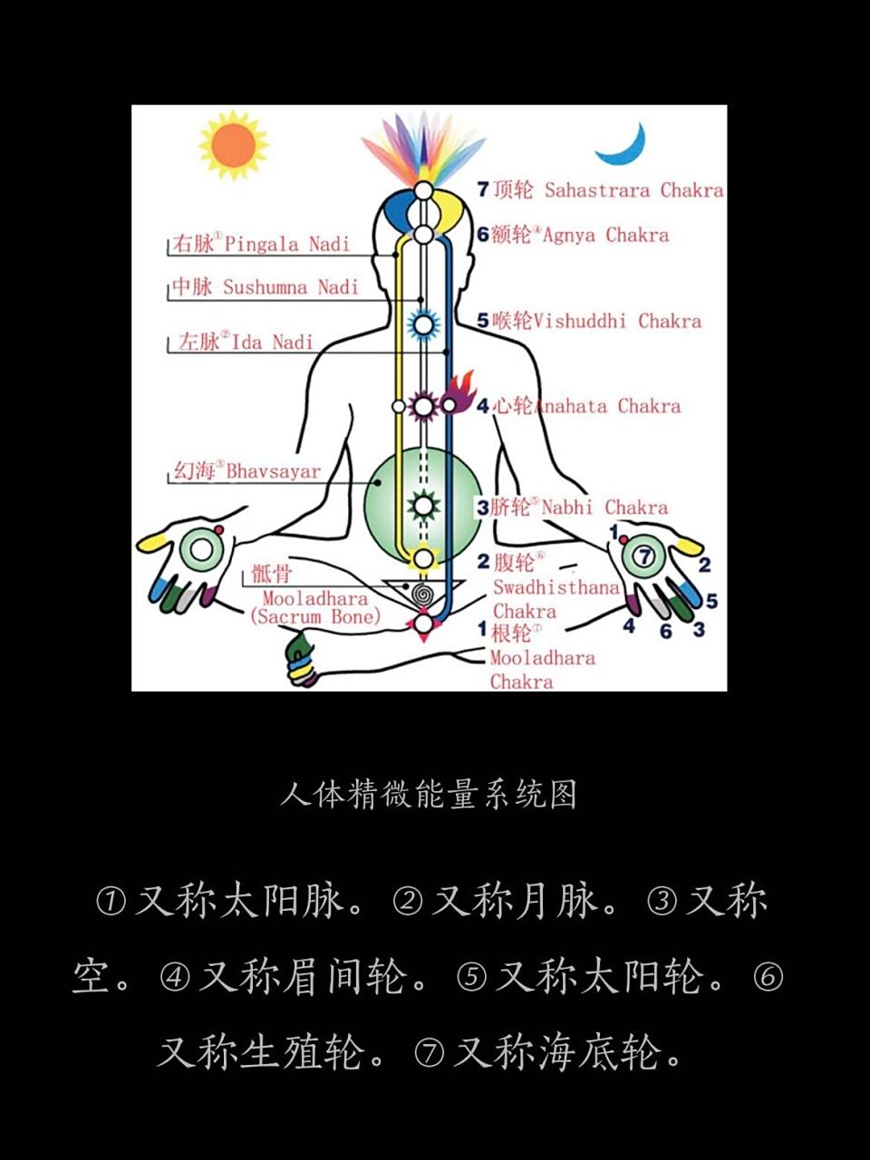 七个脉轮 在瑜伽知识里,有一个词叫"七轮",也就是七个脉轮点(能量中心
