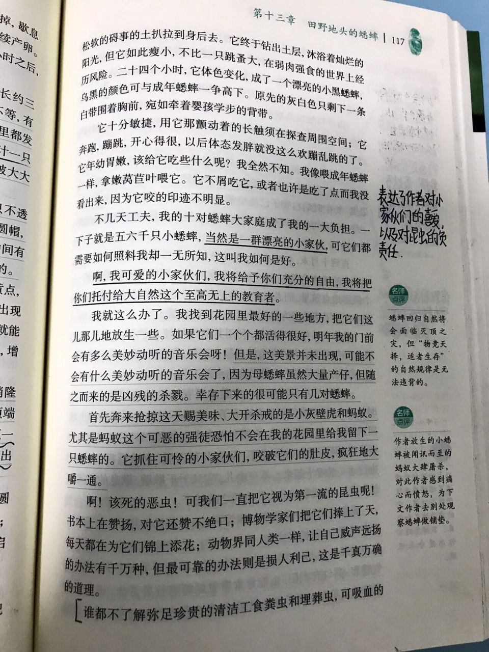 昆虫记十三章《田野地头的蟋蟀》批注