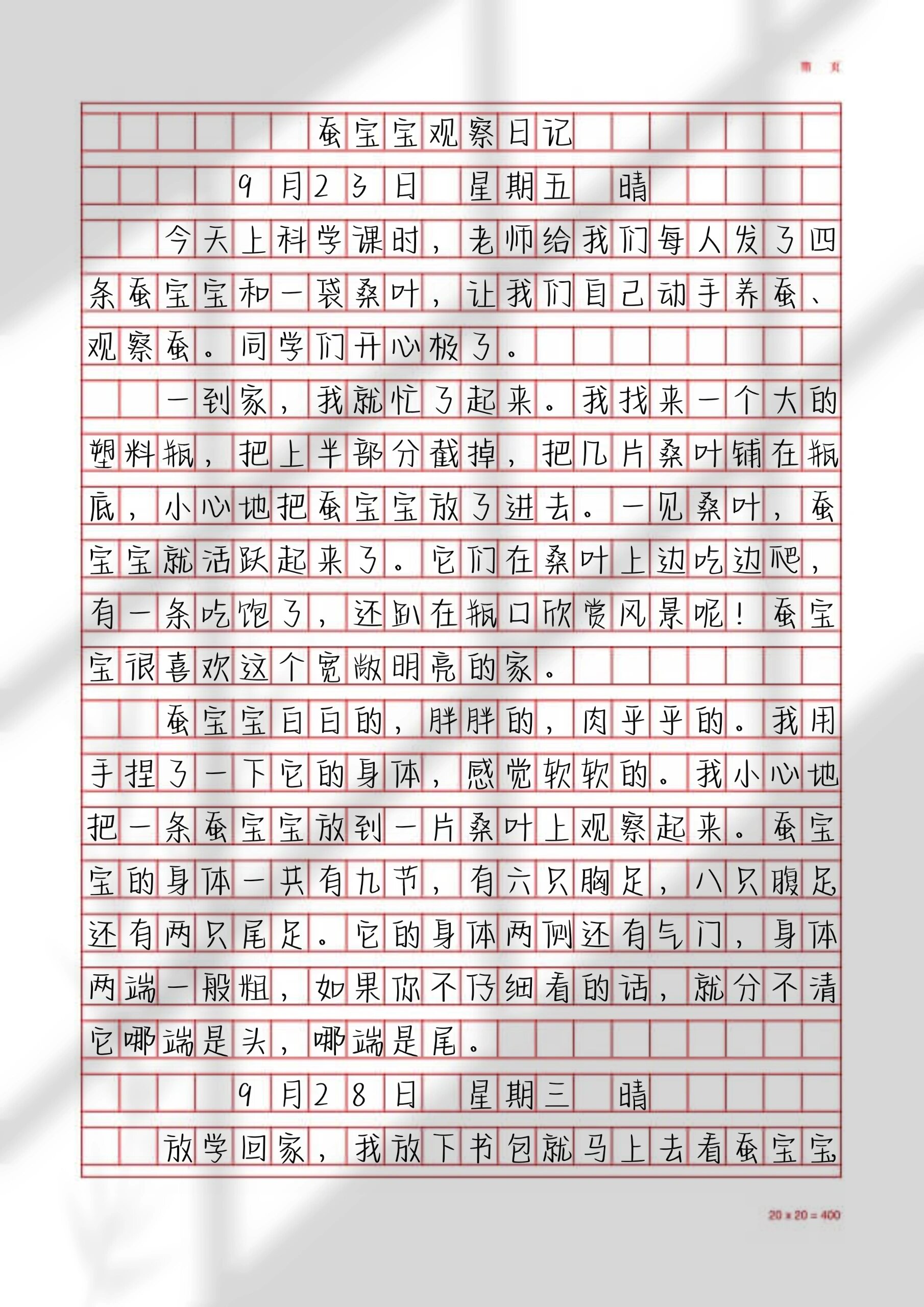观察日记类优秀范文|《蚕宝宝观察日记》