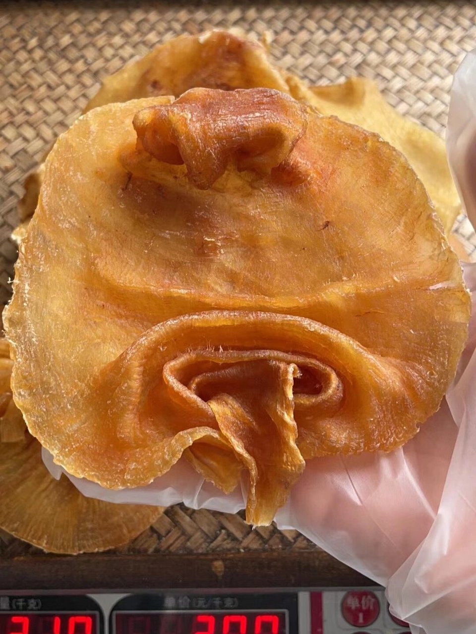 【野生白鳘胶】10年老胶,石首科鱼胶功效都不会差,性价比极其高,口感q