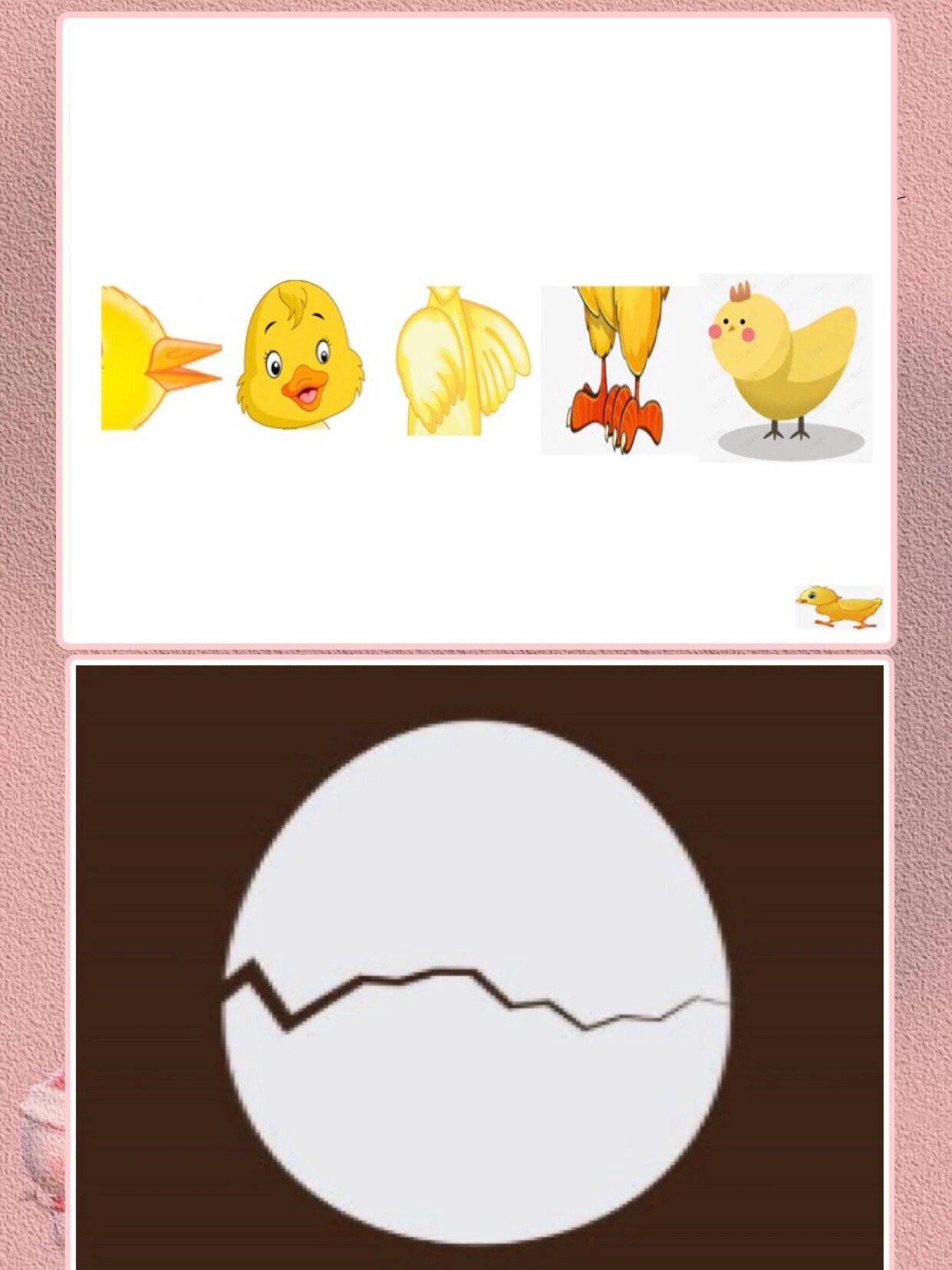 幼儿园公开课《小鸡出壳》一等奖05 小班音乐《小鸡出壳》 	 配套