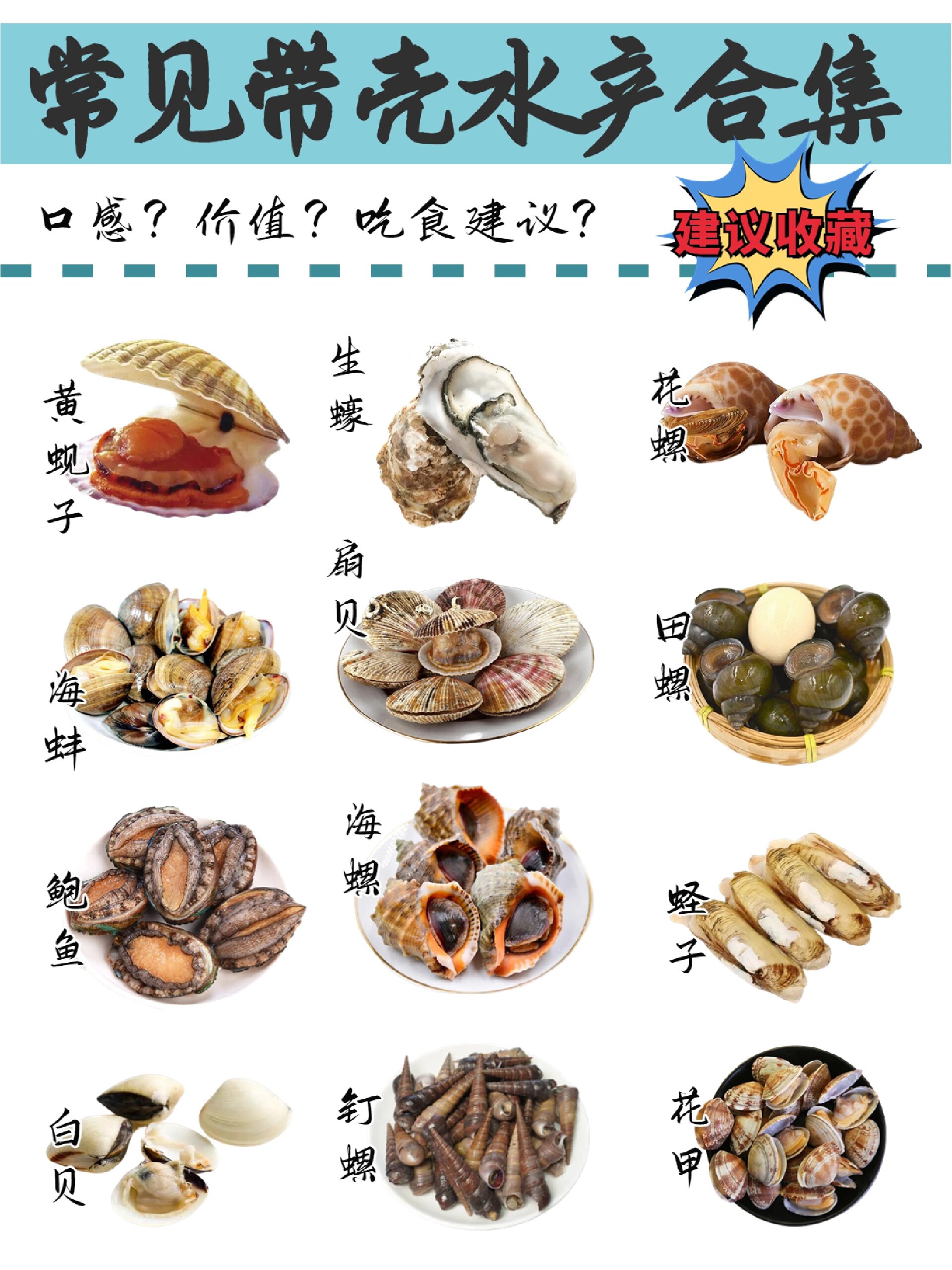 常见带壳水产合集97别再认错了