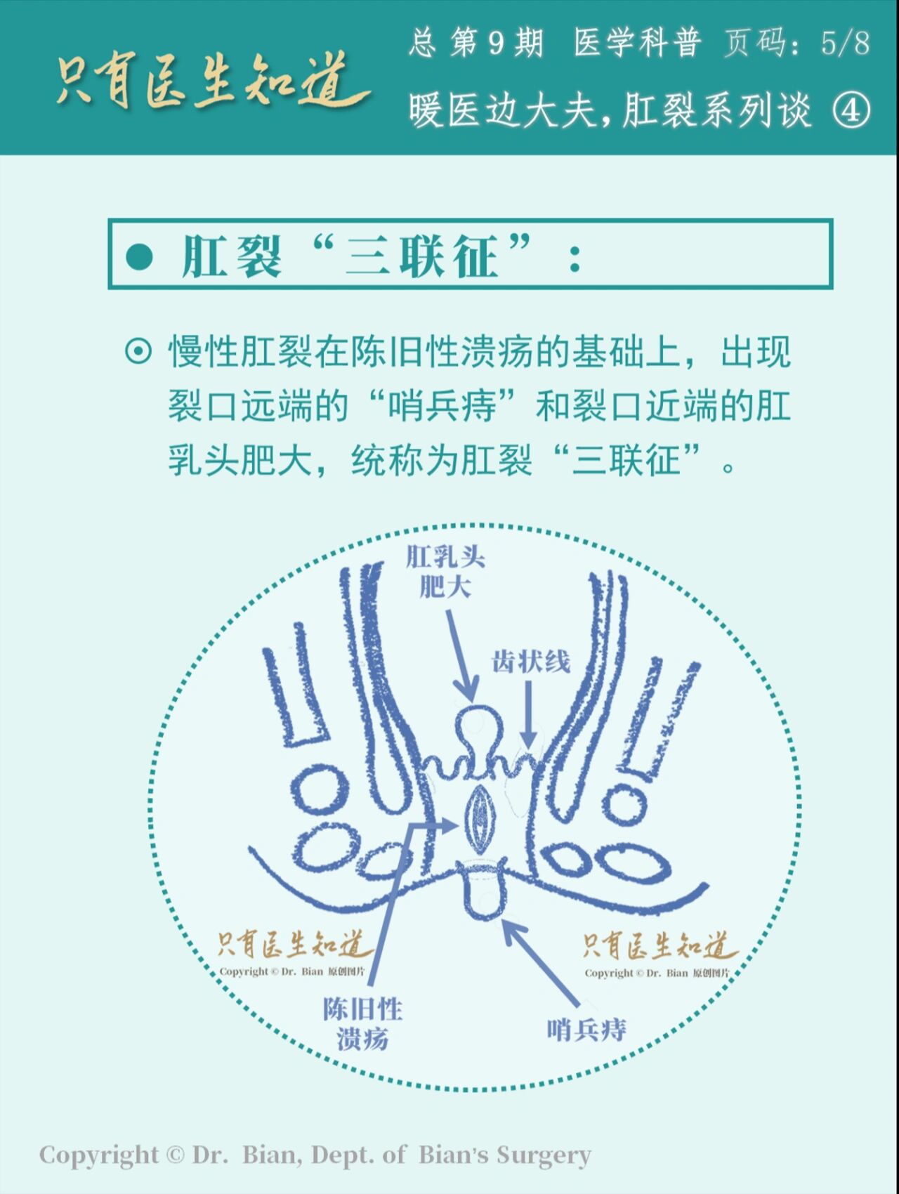 肛门前哨痔图片图片