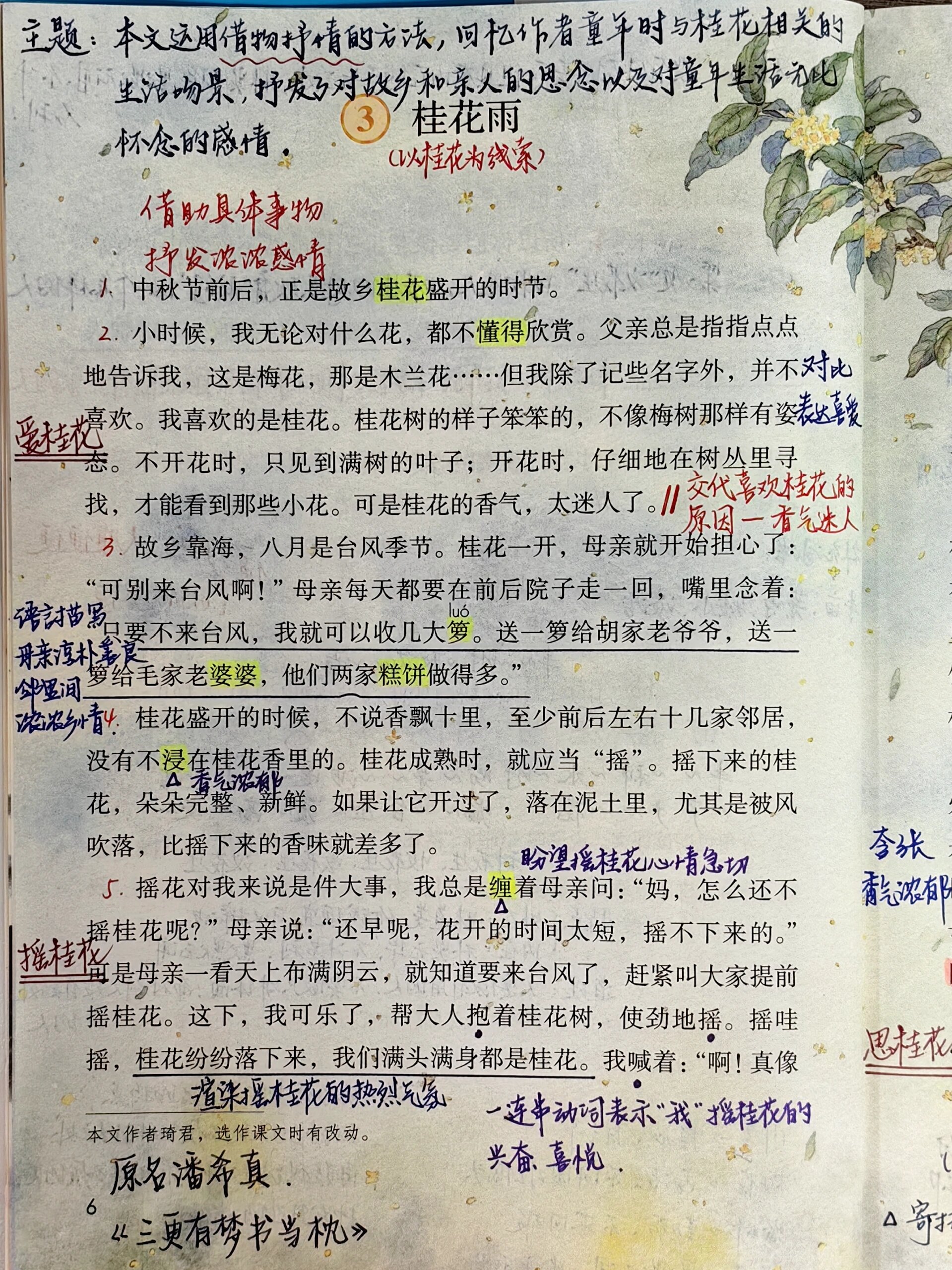 📖五上语文备课笔记❸桂花雨