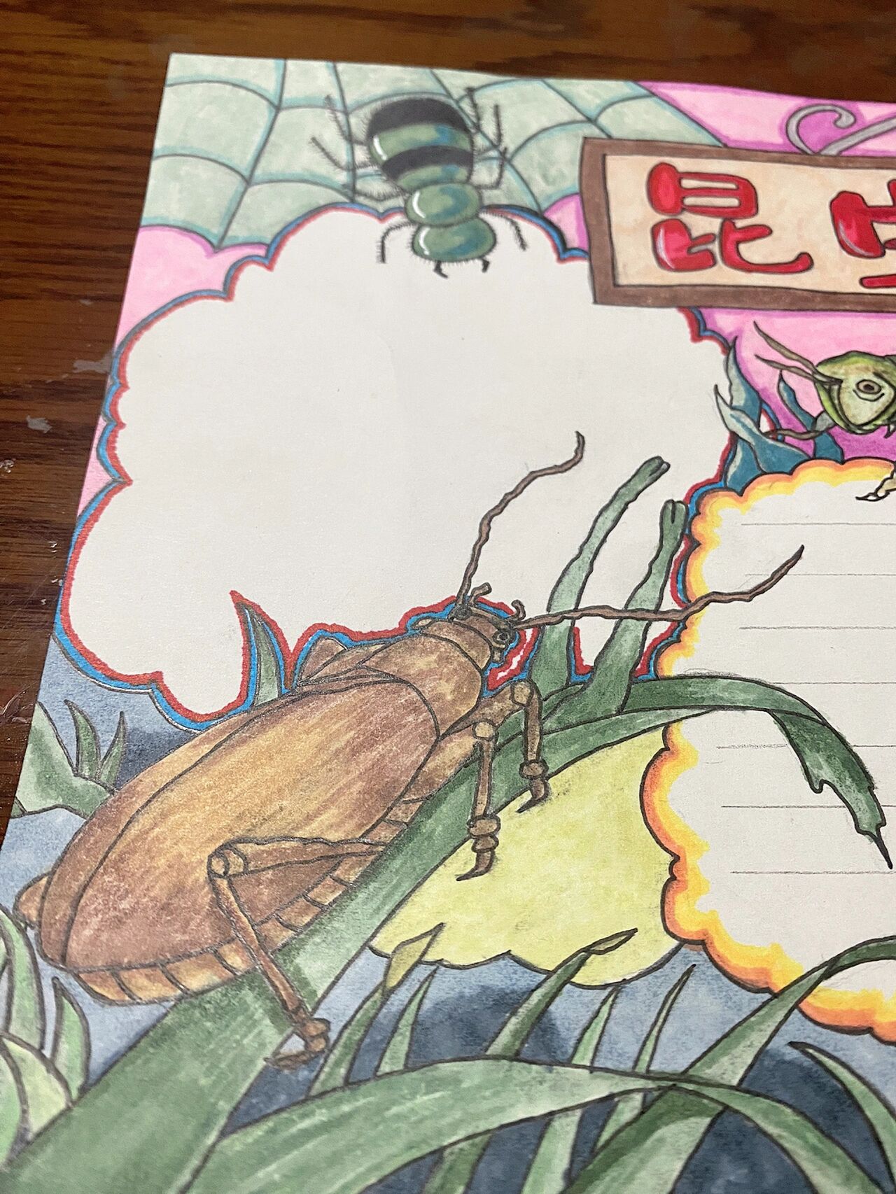 《昆虫记》手抄报