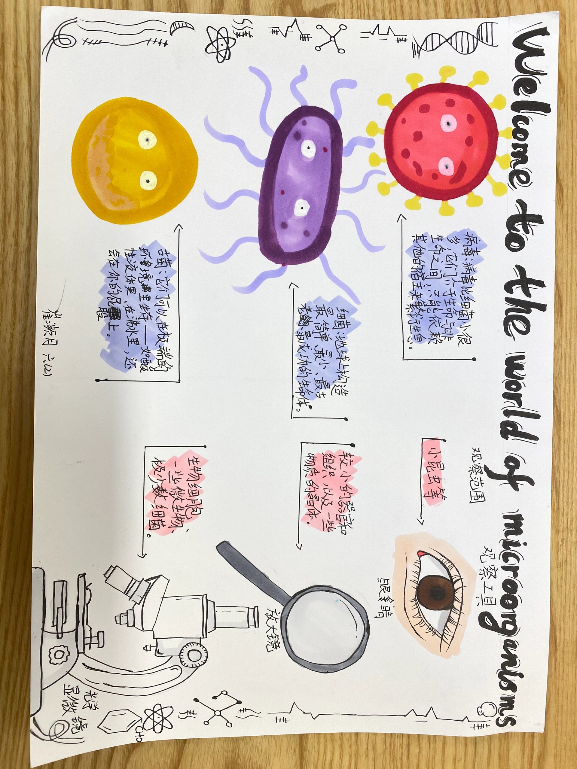 六上《微生物与健康》手抄报 1️⃣收集记录学生作品01📣