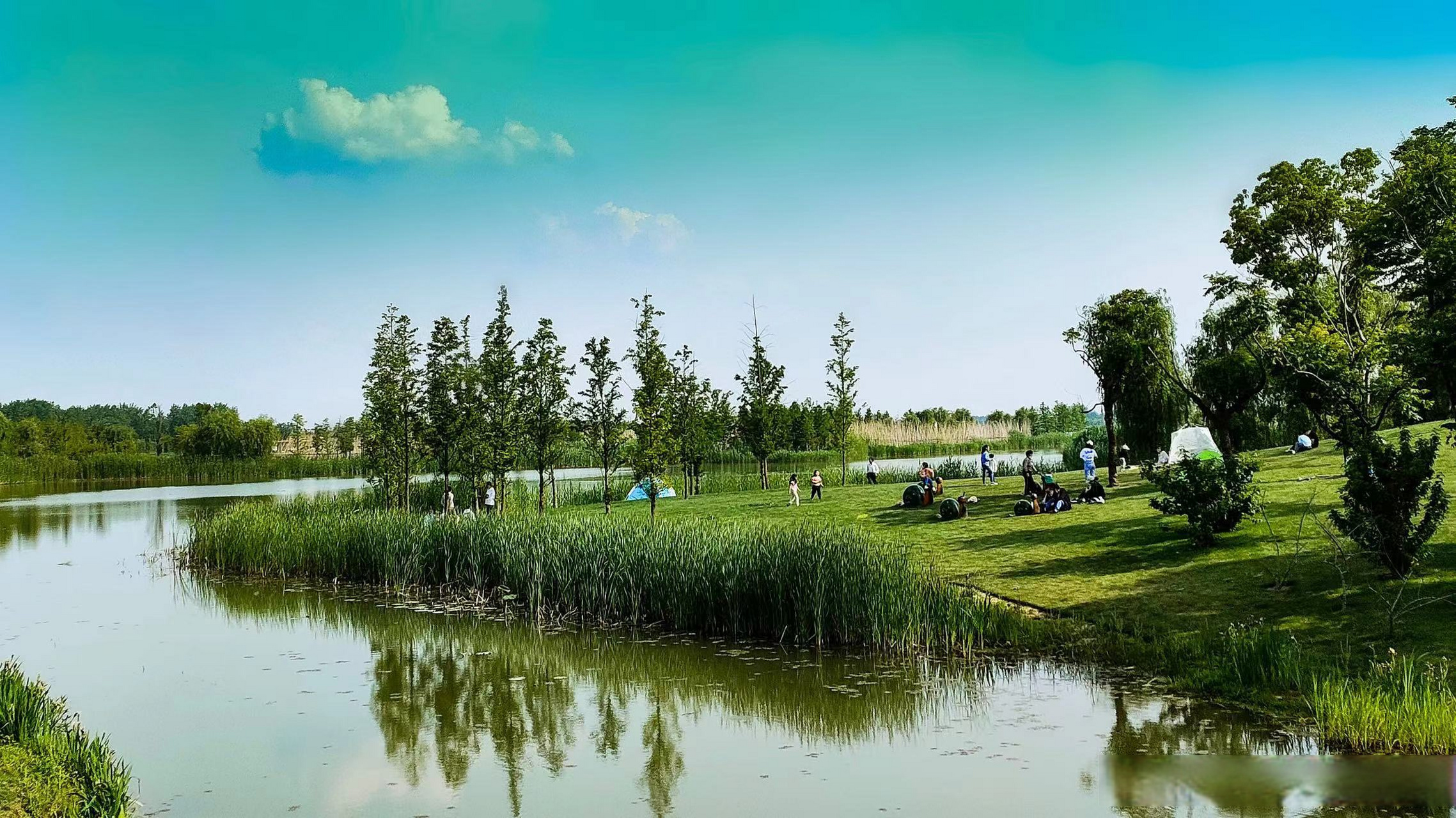 扬州三江湿地公园图片