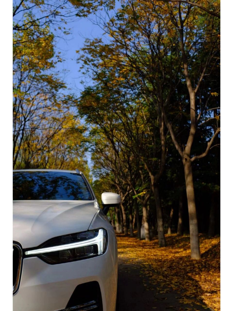 日常溜达,户县半日游 难得的好天气,开着窝窝来观音禅寺,看看千年银杏