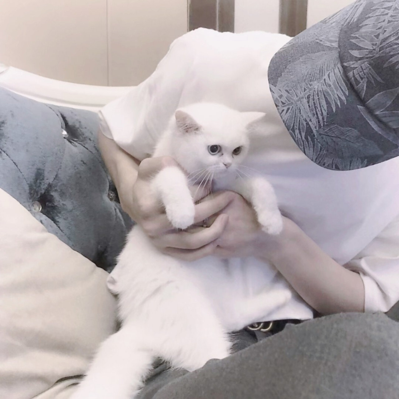 只是始终对自己那场没有结果的付出和被浪费的爱耿耿于怀" 	 头像自取