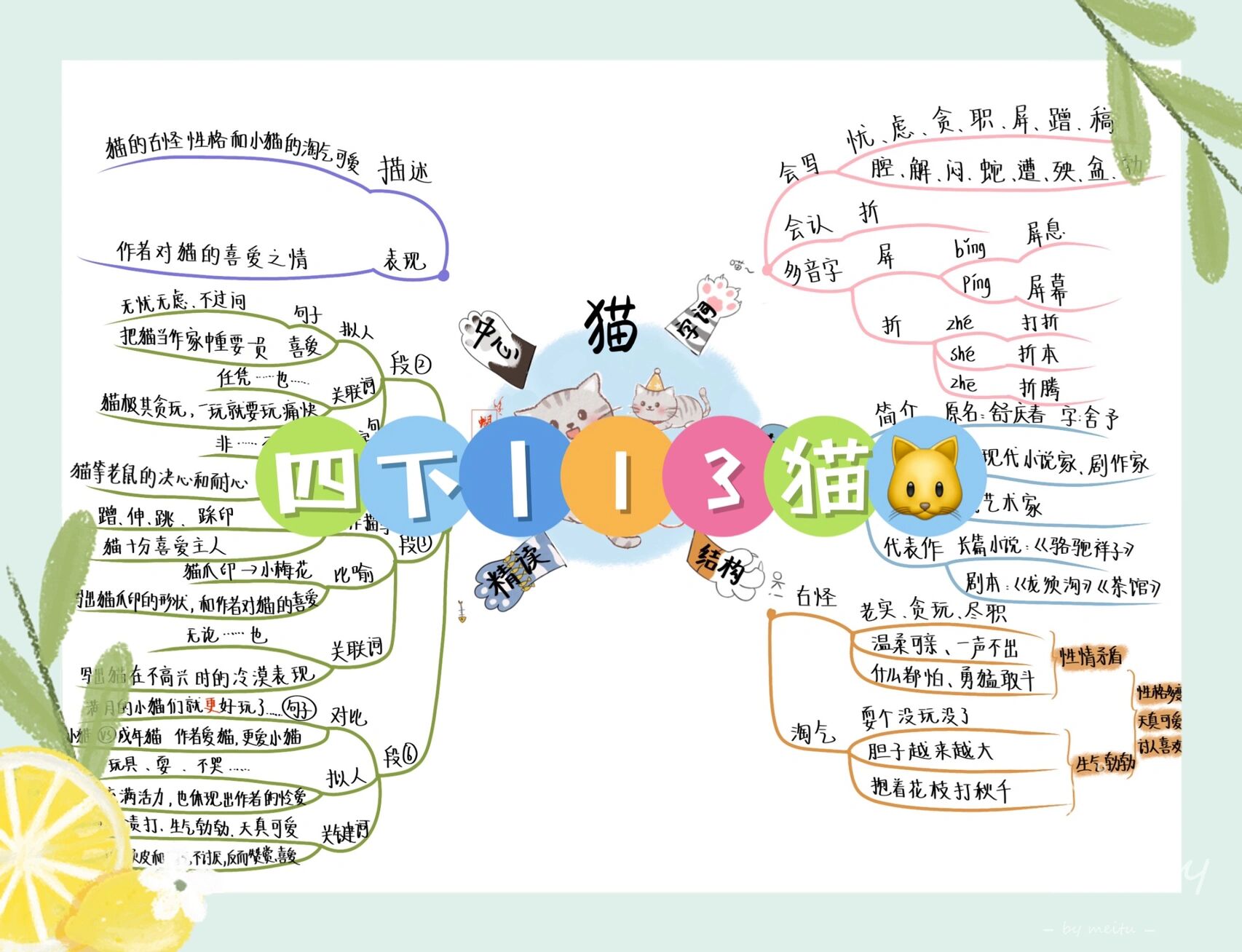 四下13课猫思维导图图片