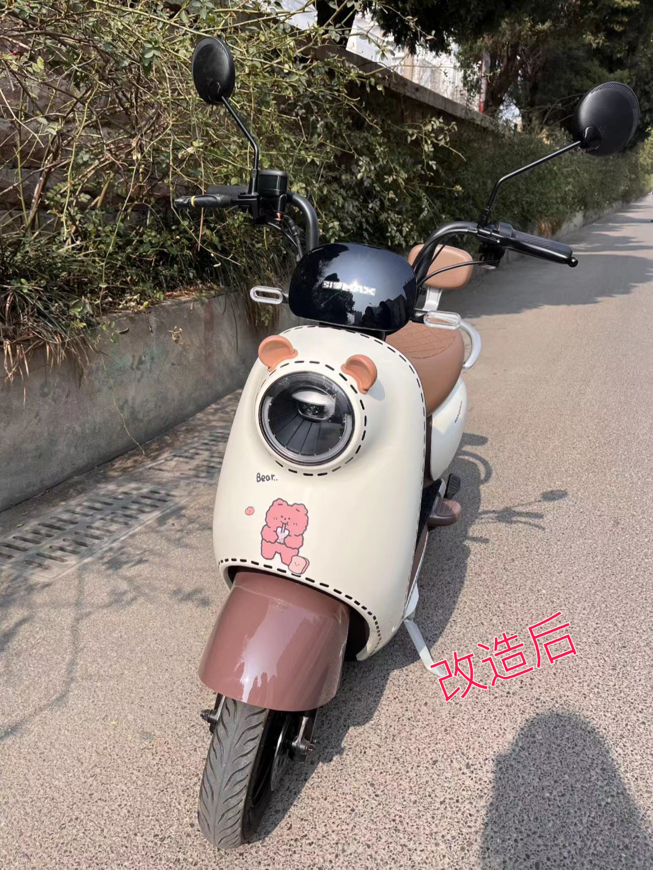 爱玛露娜W290售价图片