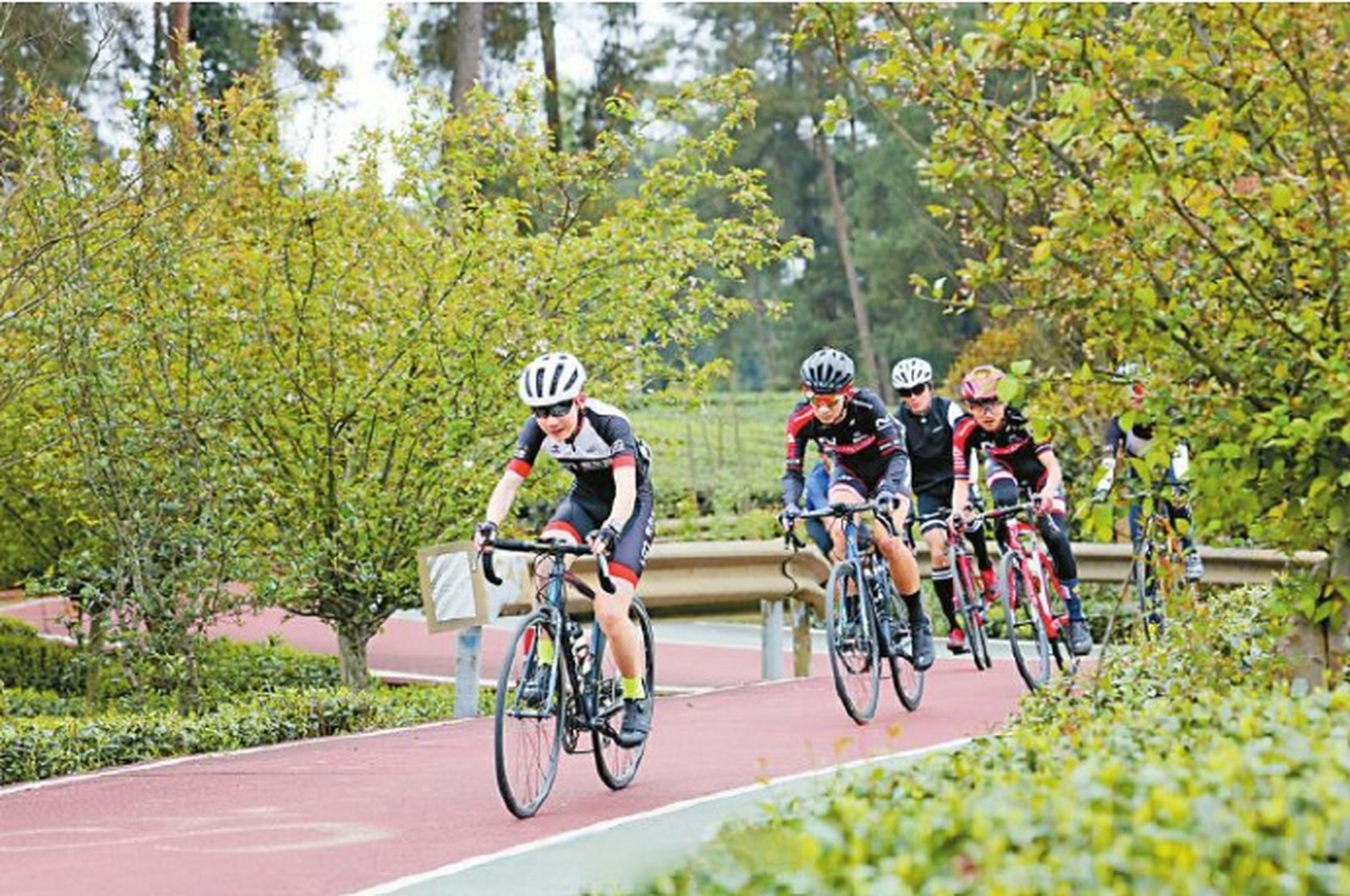 成都天府绿道国际自行车赛将在成都环城生态公园内举行