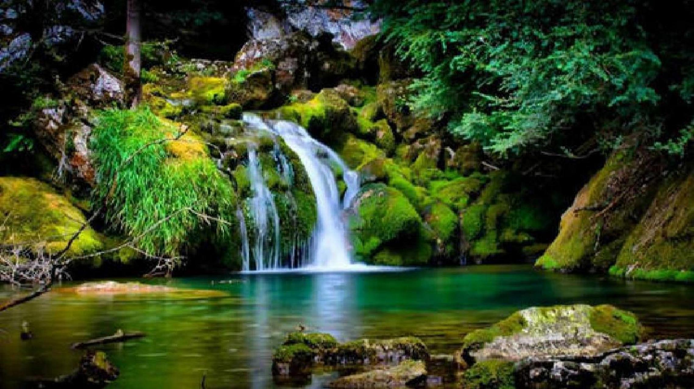 风景图片 美丽的风景使人身心轻松,被好风景收买,剩下的全是好心情.