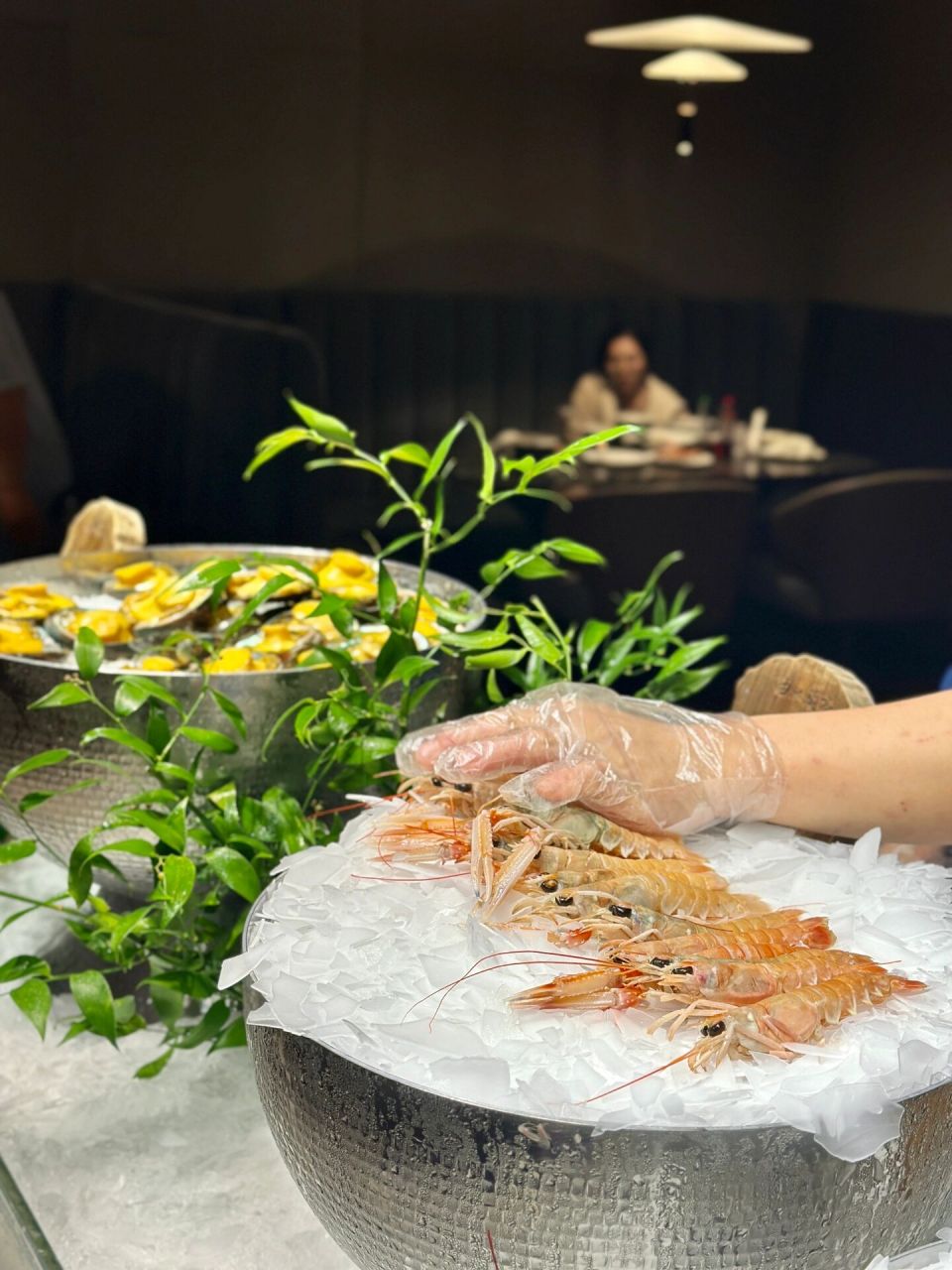 北京曲水兰亭|澡堂子yyds!