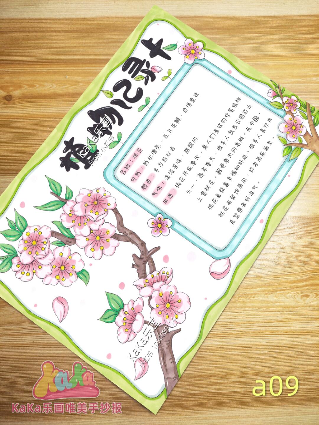 桃花🌸名片模板a09