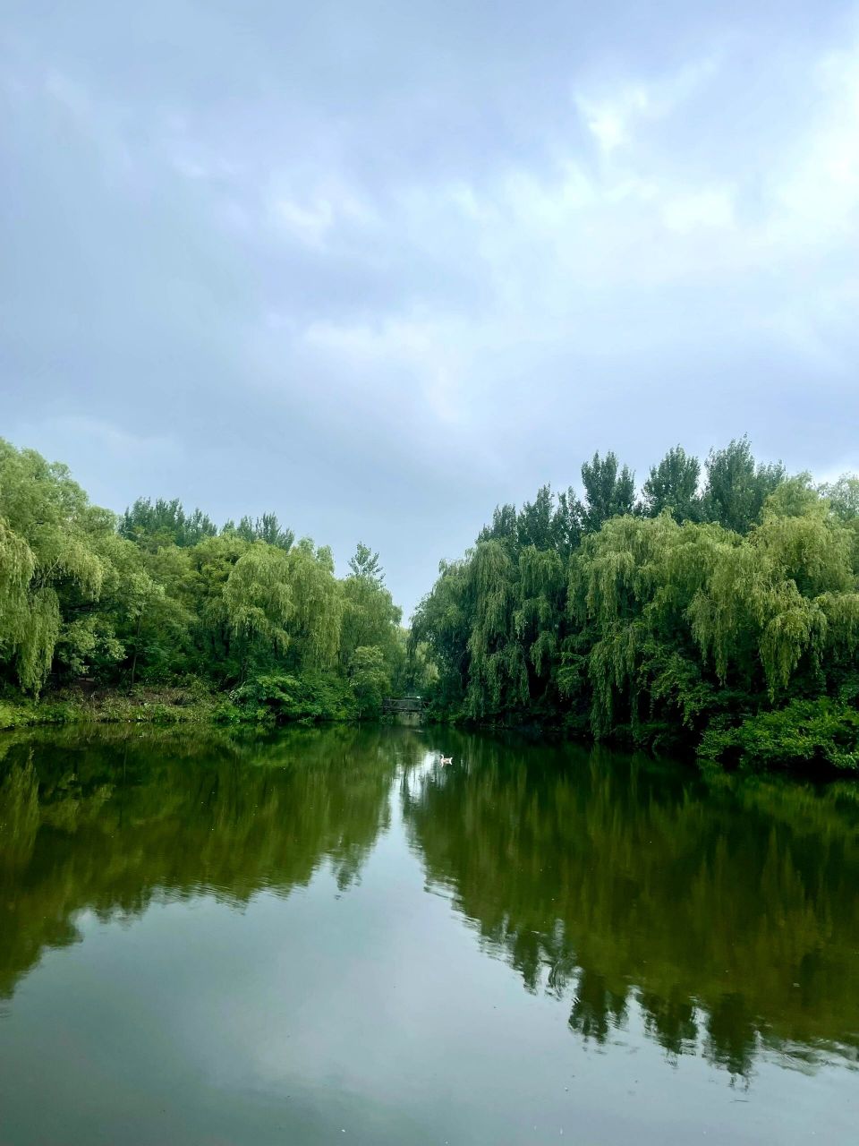 沈阳鸟岛景点图片