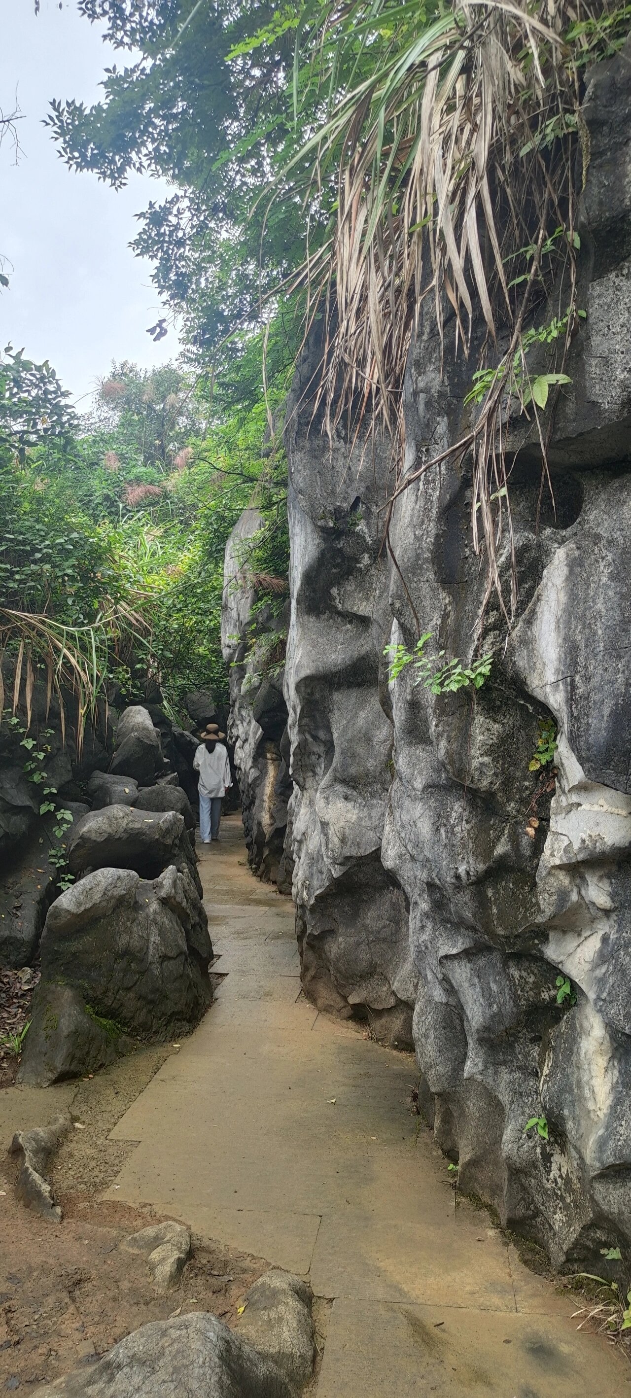 三衢石林风景区图片图片