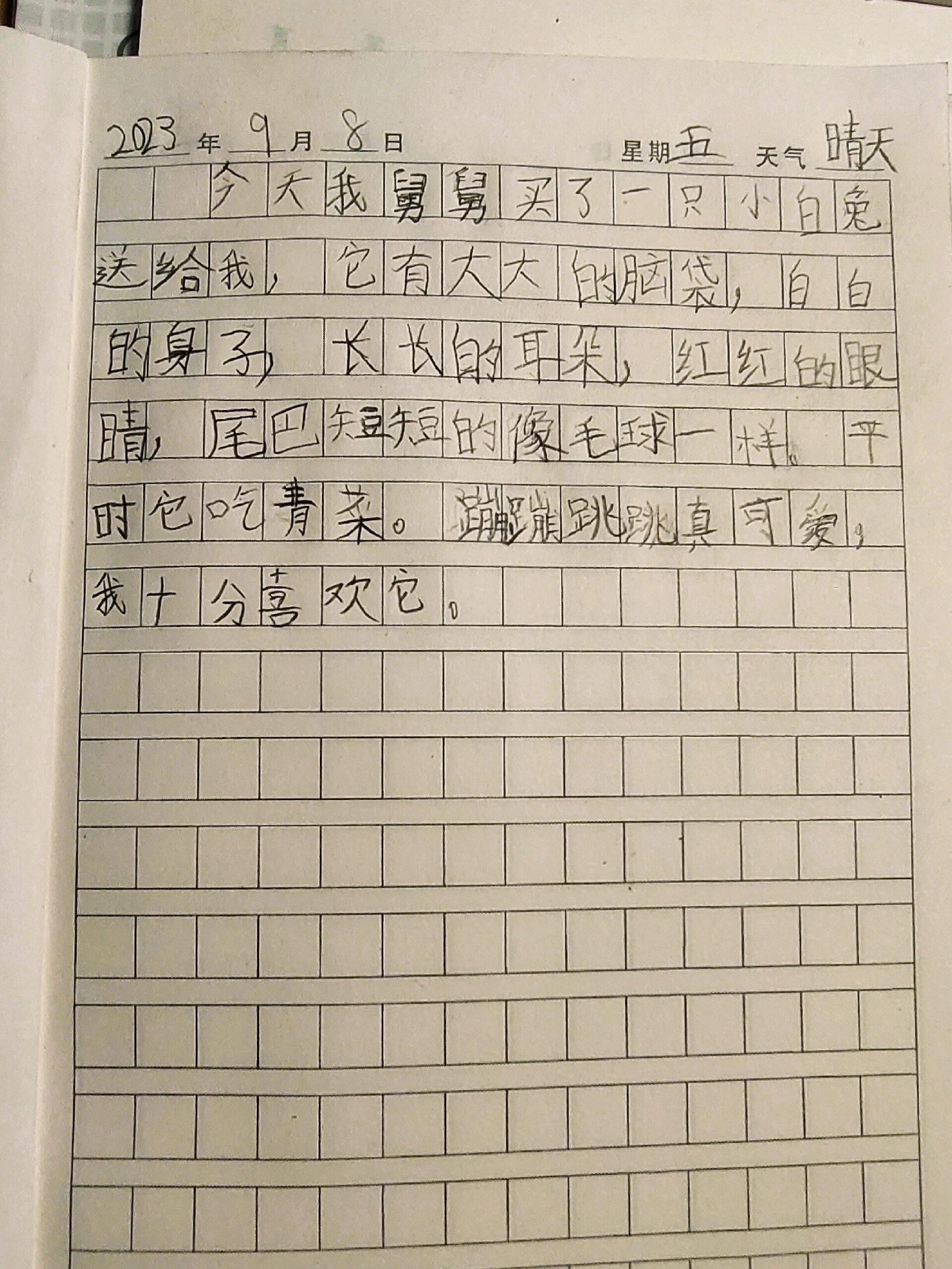 二年级新日记本第一篇日记