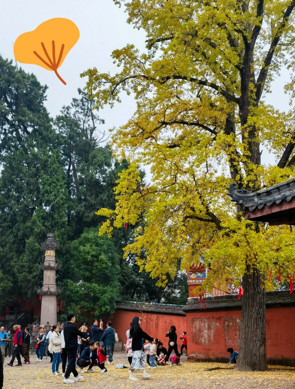 直接开到顶～金堂云顶山寺 连从半山腰开始爬也不愿意了,直接导航云顶