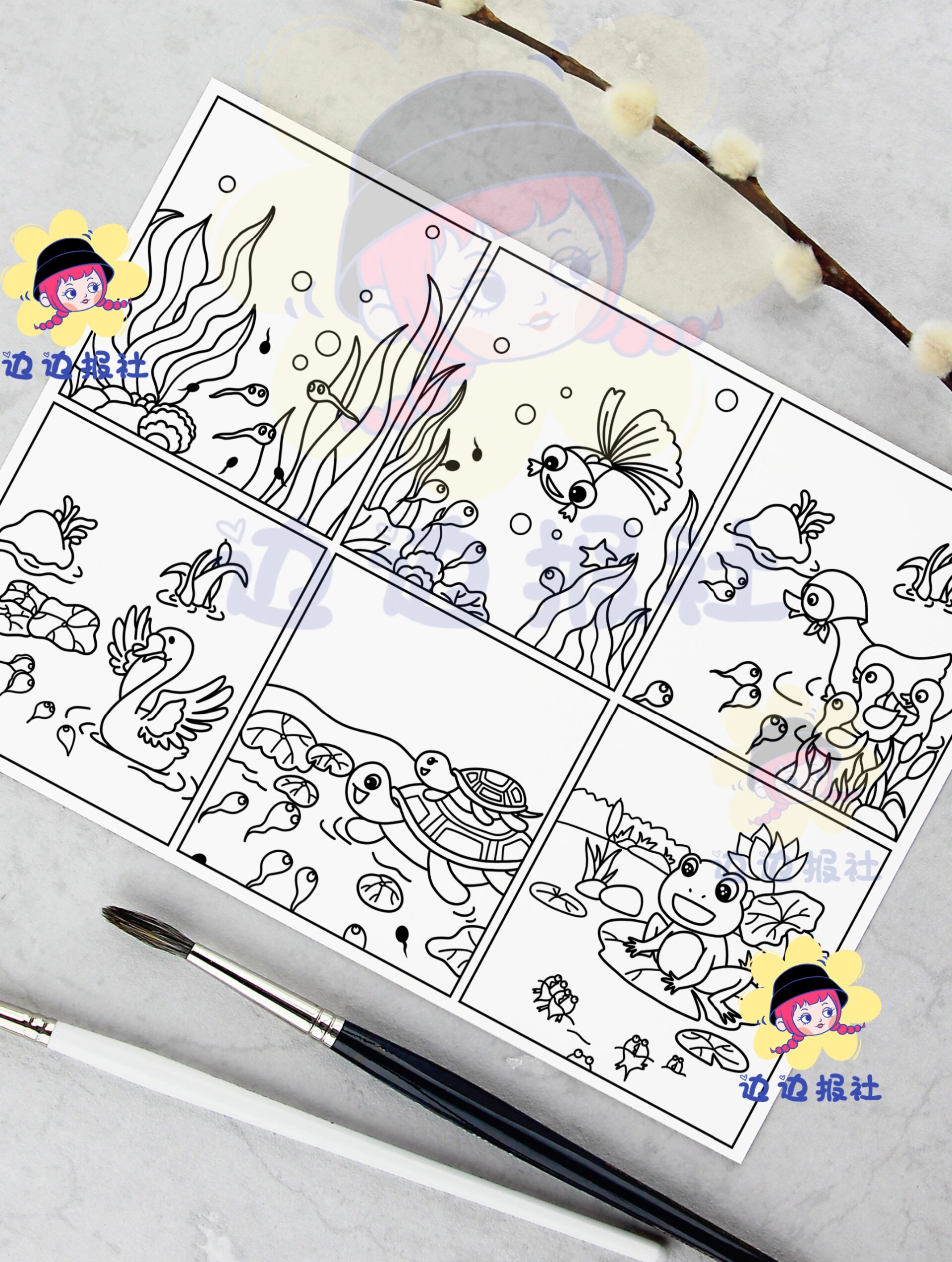 小蝌蚪找妈妈连环画手抄报-01